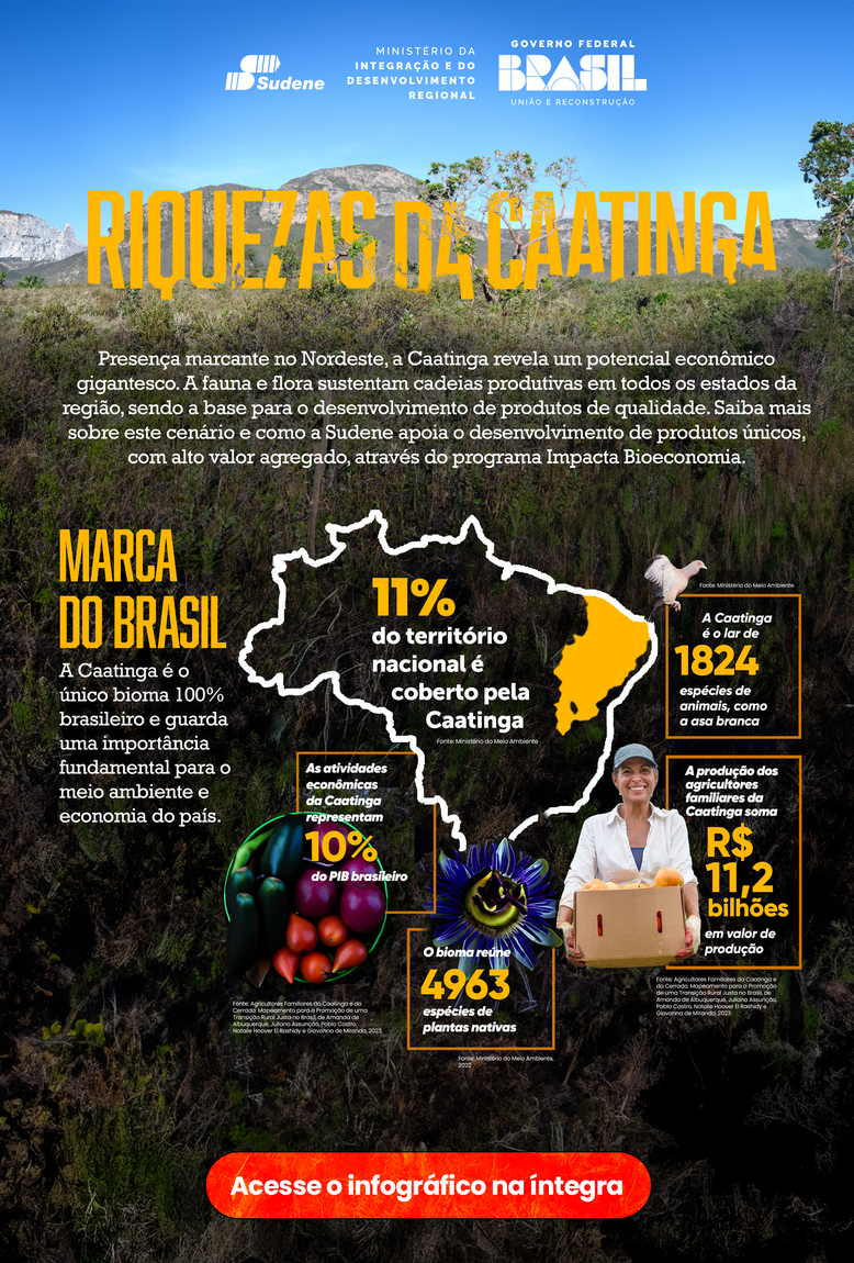 Clique no botão e faça o download do infográfico completo
