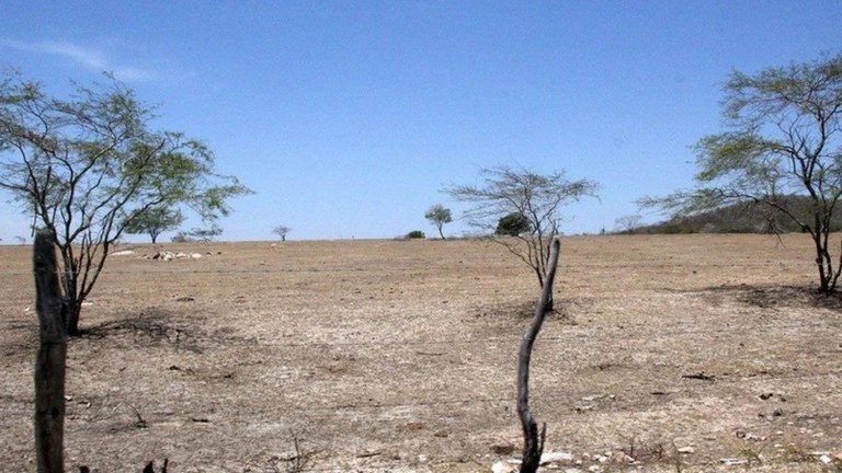 Alagoas recebe seminários para atualização do Plano Estadual de Combate à Desertificação