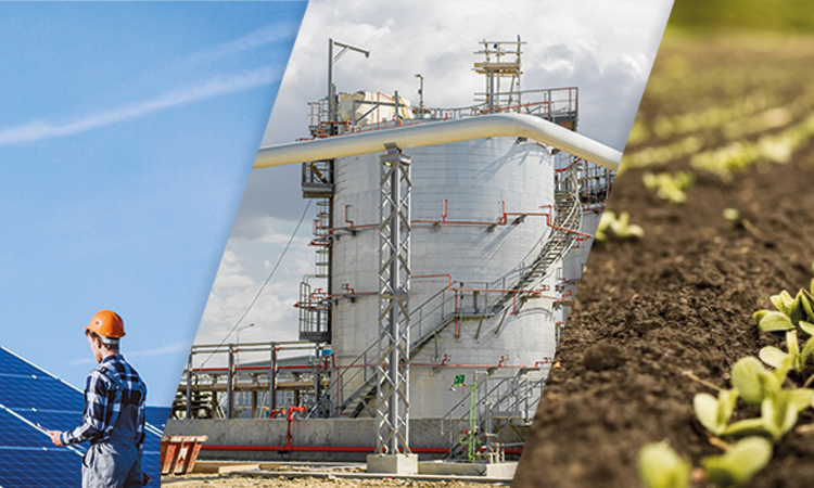 Diretrizes e prioridades do FNE 2021