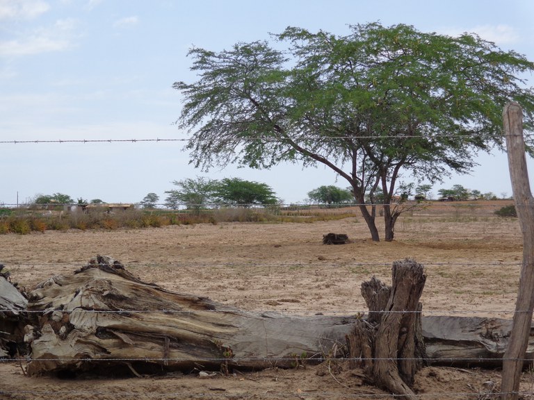 Com apoio da Sudene, Sergipe recebe seminários para discutir atualização combate à desertificação