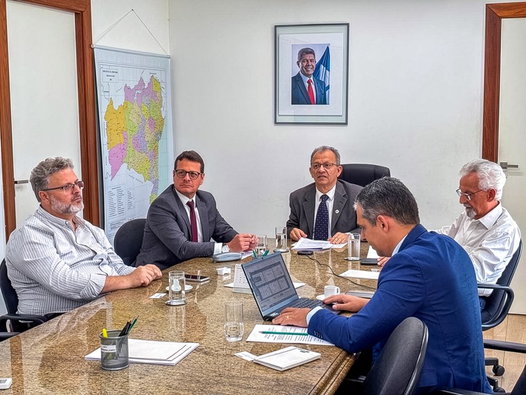 Superintendente comandou a reunião diretamente da Bahia. Foto: Andrea Pinheiro (Ascom/Sudene)