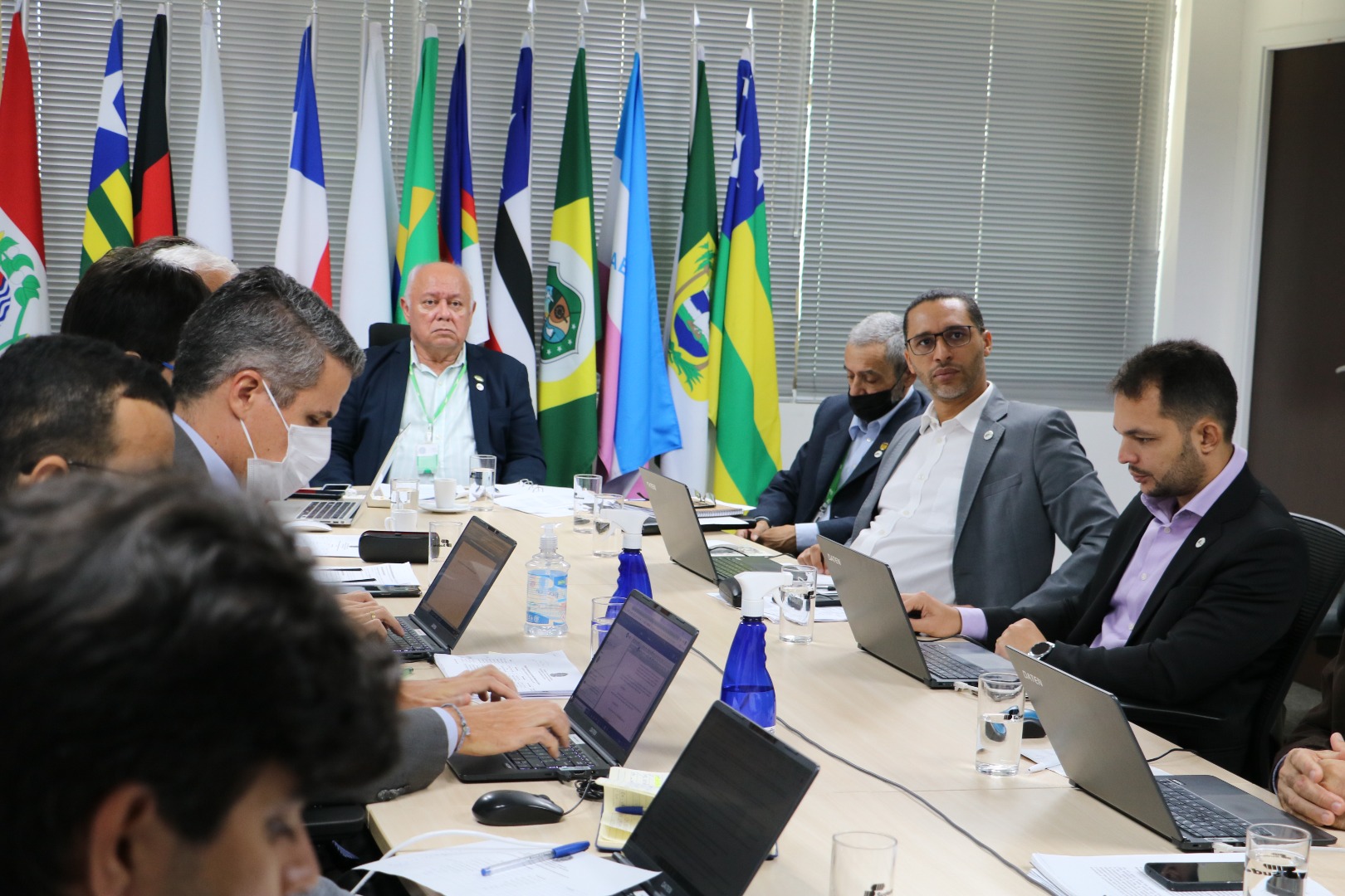 29ª Reunião do Condel realizada por videoconferência