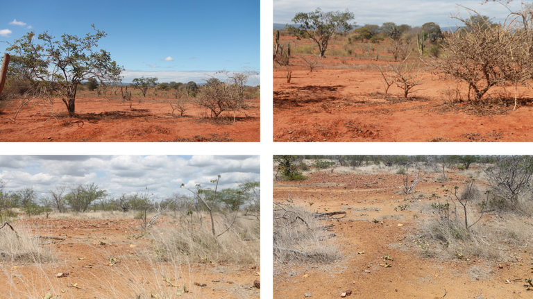 Minas Gerais recebe seminários de atualização do Plano de Combate à Desertificação promovidos pela Sudene