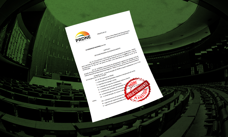 PRDNE na Câmara dos Deputados