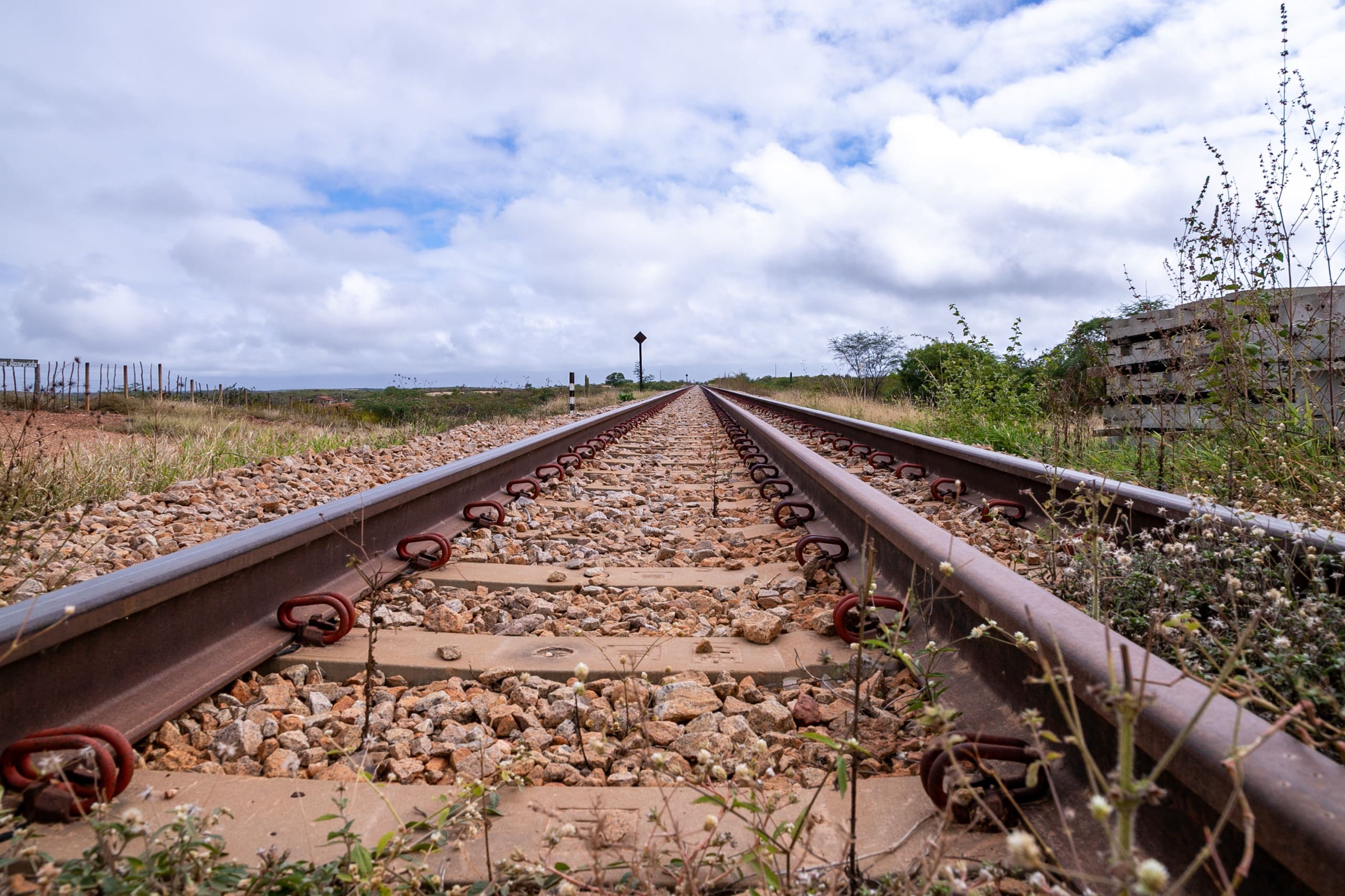 Sudene articula avanços e reforça compromisso do Governo com a Transnordestina em Pernambuco
