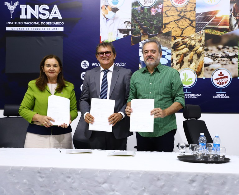 Sudene investe R$ 6 milhões na cadeia produtiva da palma no semiárido