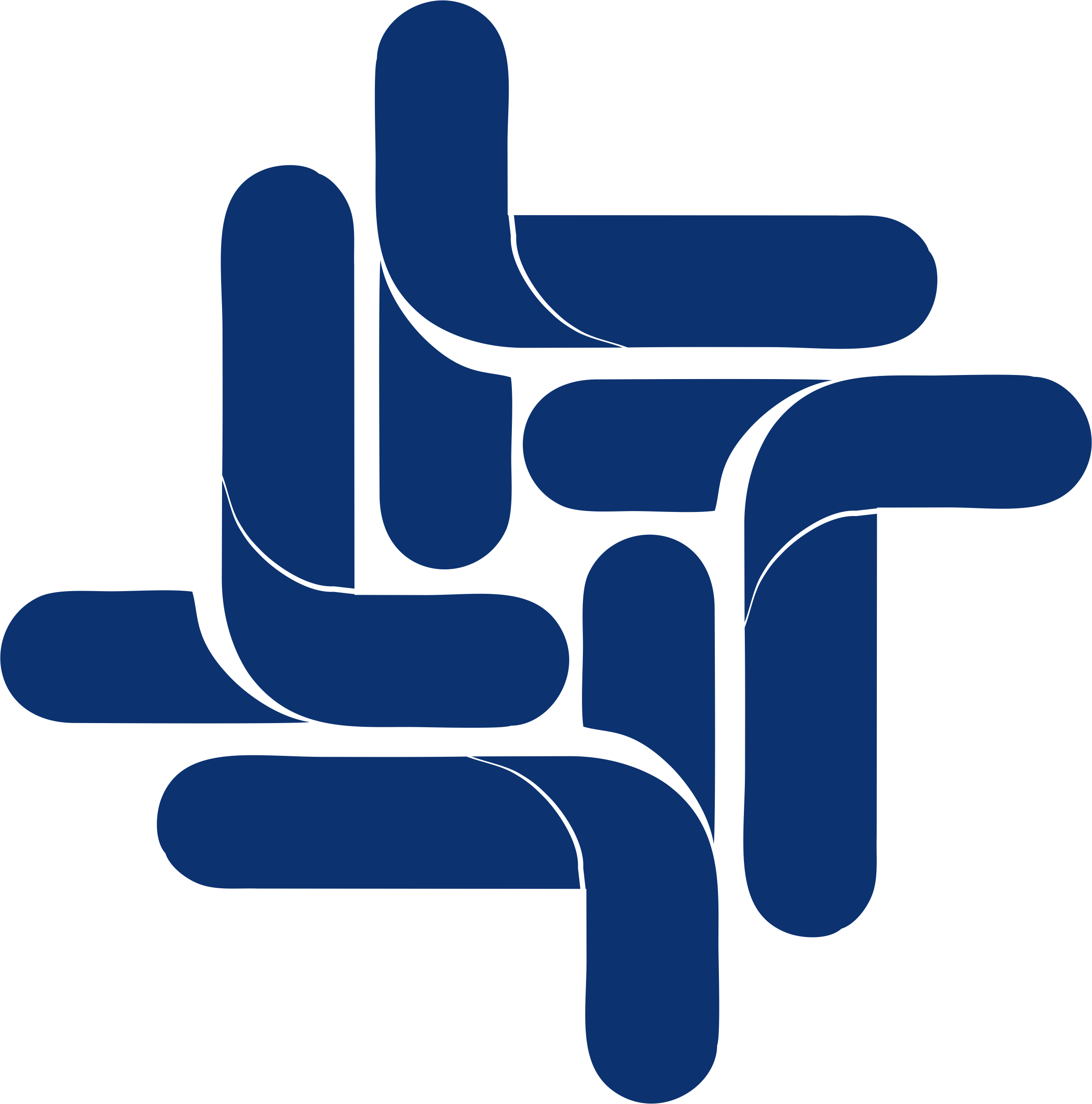 Termo de Execução Descentralizada