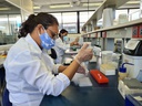 Laboratório 002