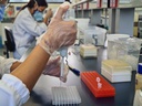 Laboratório 003
