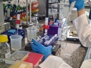 Laboratório 010