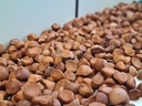 Andiroba 001