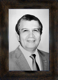 Reprodução do quadro da galeria de ex-superintendentes da Suframa