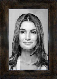 Reprodução do quadro da galeria de ex-superintendentes da Suframa