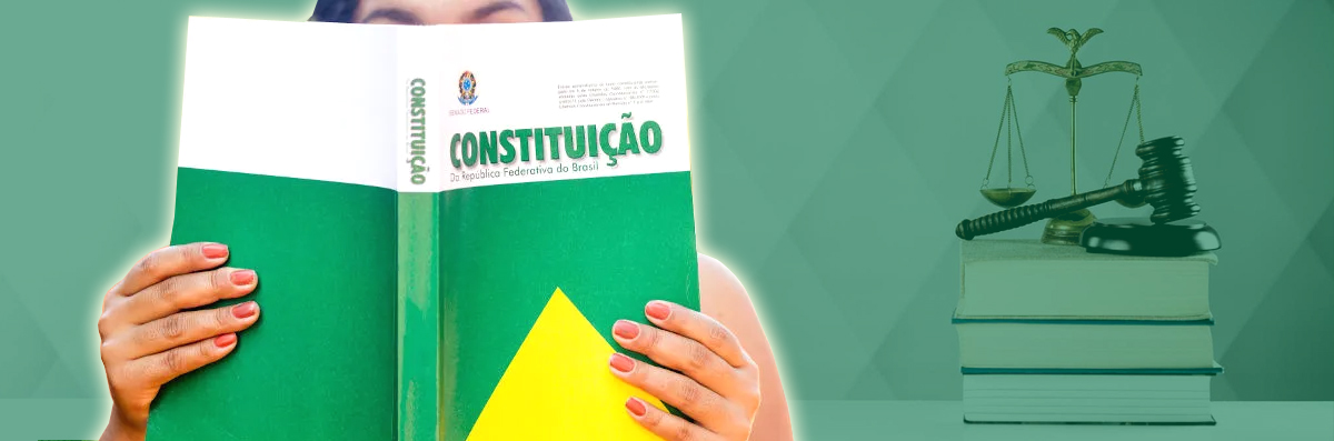 Imagem mostra uma pessoa lendo a Constituição Federal.