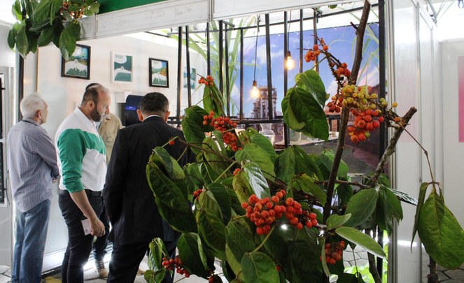 Foto de pessoas em uma feira