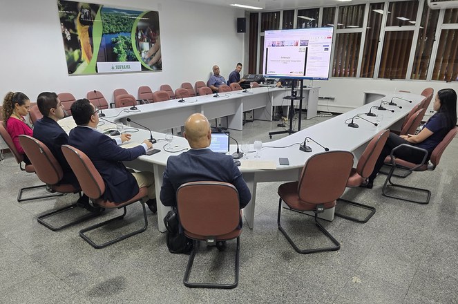 Foto mostra grupo de pessoas olhando para um telão em uma reunião por videoconferência
