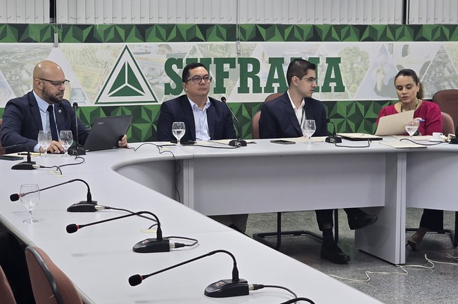 Foto mostra três homens de paletó e uma mulher numa reunião