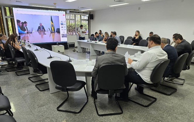 Foto mostra pessoas em reunião com auxílio de um telão