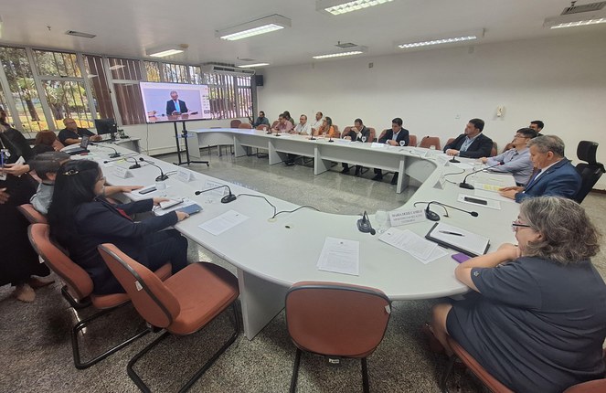 Foto mostra pessoas em uma reunião por videoconferência