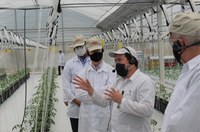 Empresa Denso inova e investe em agricultura no PIM