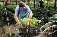 Empresários japoneses são incentivados a investir na ZFM pela Suframa