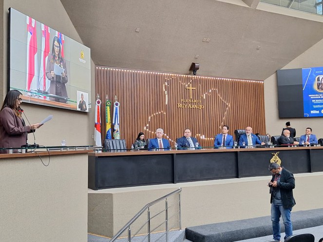 Foto mostra mulher falando em evento público