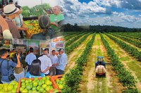 Feira do DAS quer incentivar integração entre produção rural e cozinhas industriais