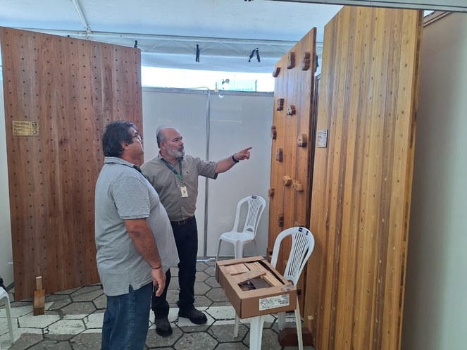 Foto mostra dois homens olhando para peças de madeira