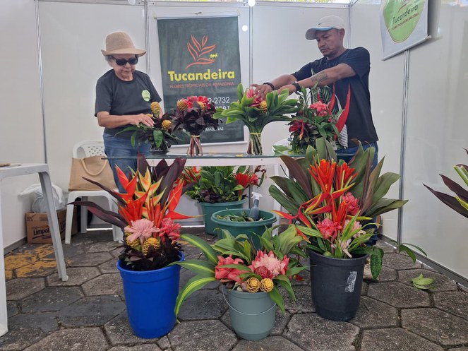 Foto mostra mulher e homem em meio a umas flores