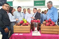 Feira do Distrito Agropecuário da Suframa valoriza setor primário