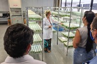 Mercado fitness foca no potencial amazônico para avançar