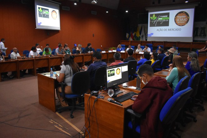 Foto mostra pessoas em reunião num auditório, com dois telões como apoio