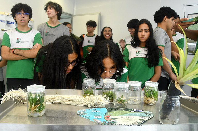 Foto mostra alunos observando alguns experimentos em um laboratório