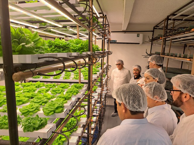 Foto mostra grupo de pessoas vestidas com jaleco de proteção branco, touca na cabeça e nos pés, durante visita a uma produção de hortaliças