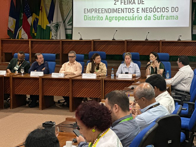 Foto mostra mulher numa mesa falando ao microfone num auditório e com um painel grande ao fundo