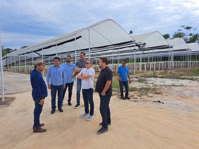 Foto mostra grupo de homens em frente a uma plantação de hortaliças