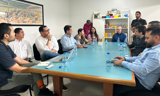 Foto mostra mulher falando uma reunião com grupo de pessoas sentadas à mesa