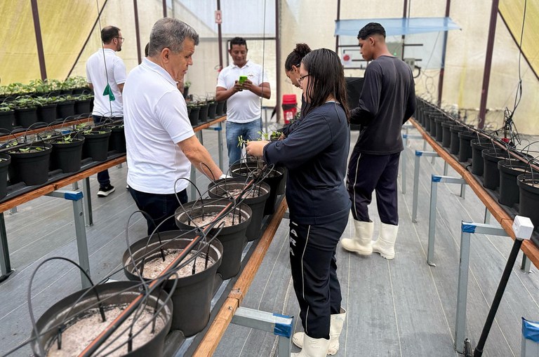 Foto mostra homem de blusa branca e uma mulher mexendo em um ambiente de mudas