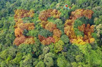 Suframa e Cieam promovem debate sobre princípios ESG