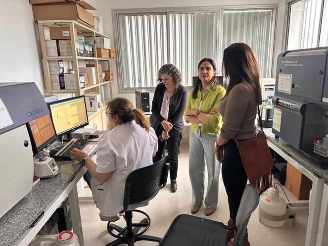 Foto mostra mulheres reunidas numa sala
