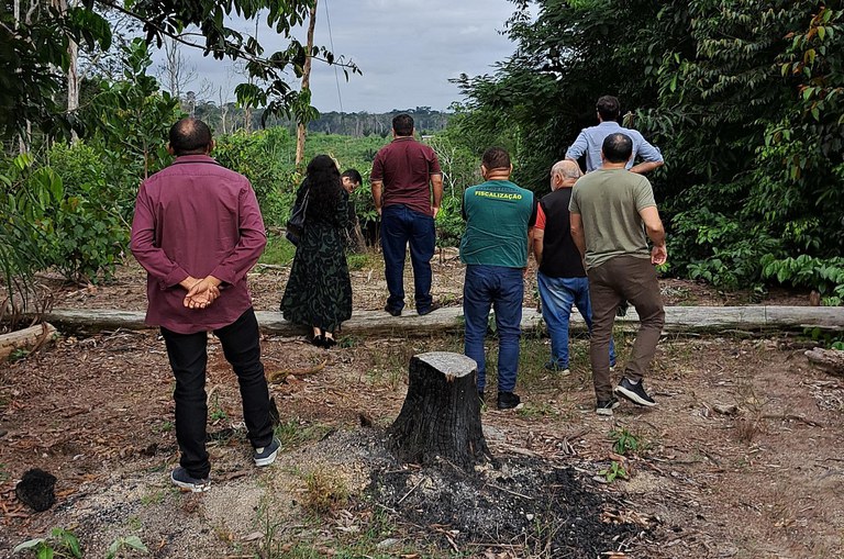 Foto mostra fiscais da Suframa e do Ministério Público analisando um terreno onde aparece, em destaque, no centro da imagem, uma árvore cortada.