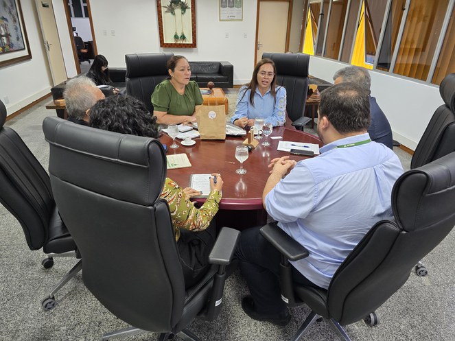 Foto mostra mulher vestida de blusa azul falando numa reunião