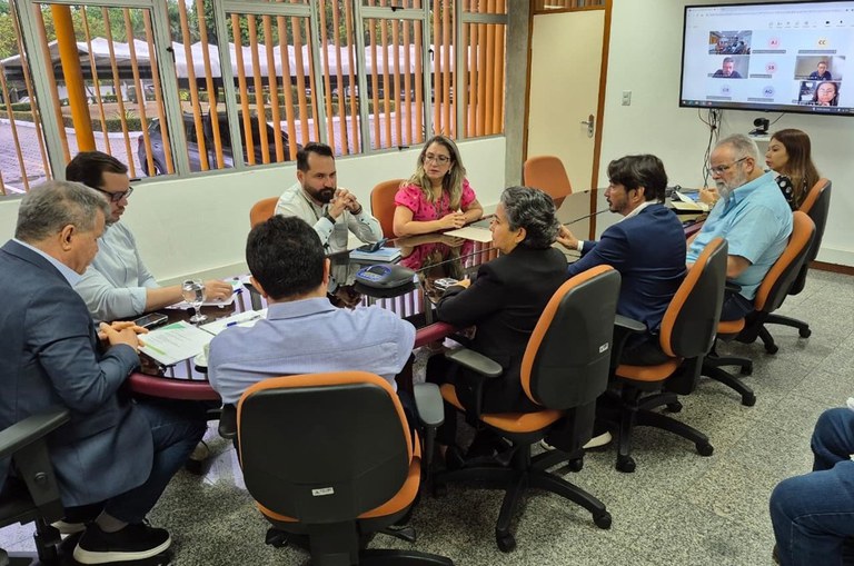 Foto mostra pessoas sentadas à mesa e outras em um telão, acompanhando uma reunião