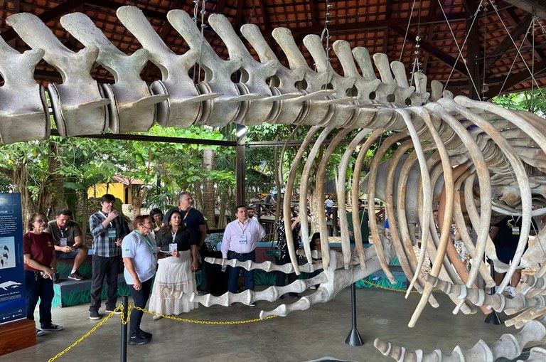 Suframa no evento Startup20 em Macapá