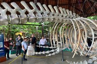 Suframa participa de evento global sobre inovação e tecnologia