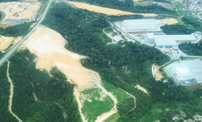 Foto mostra imagem aérea de área verde