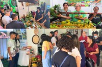 Suframa realiza 2ª Feira do Distrito Agropecuário para impulsionar negócios no setor primário