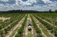 Suframa realiza grande feira do DAS na sede da Autarquia