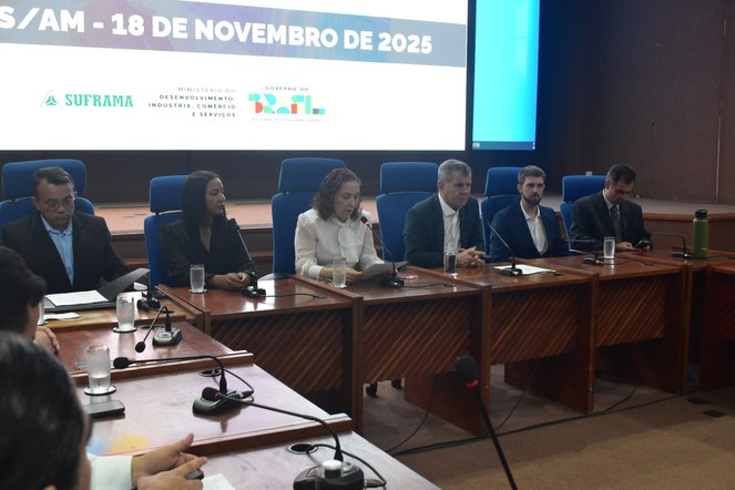 Foto mostra mulher falando durante evento tendo um telão ao fundo