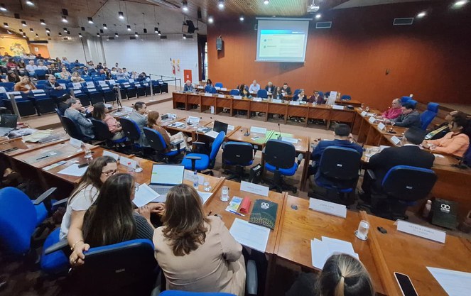 Foto mostra pessoas reunidas num auditório e um telão ao fundo como apoio